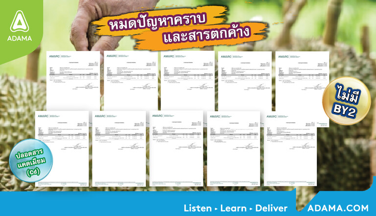 งาน Certificate 2025-01
