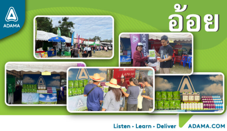 สมาคมไร่อ้อยเขต6กำแพงเพชร