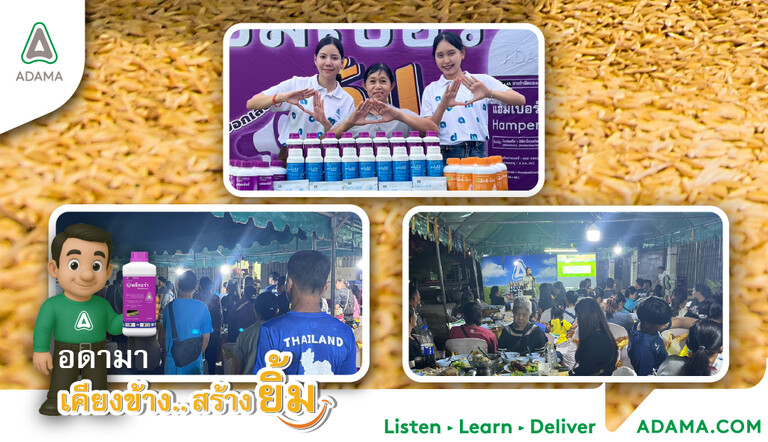 FMT ร้านเจ๊บุญธรรม กกแรต