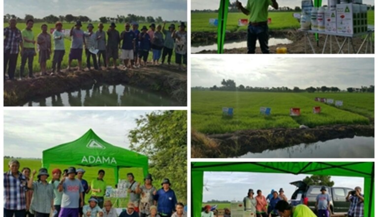 Activity
