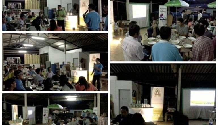 activity