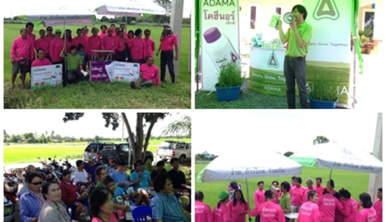 activity