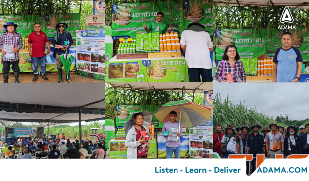 โรงงานน้ำตาลอุดรธานี-25-26