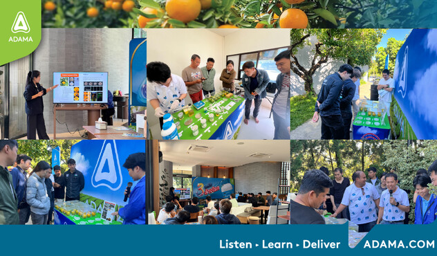 งานฝาง เปิดตัวอัลมากอร์ในส้ม