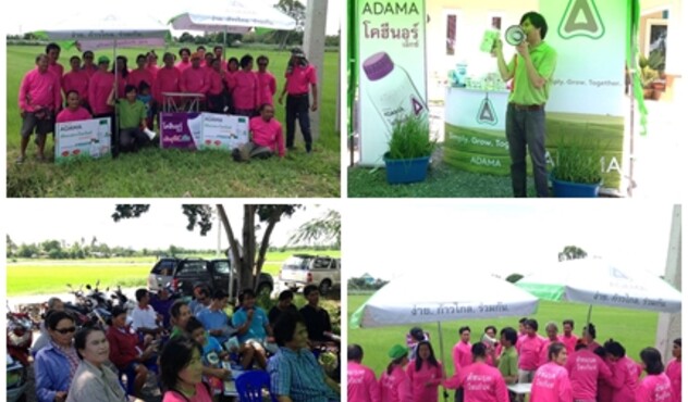 activity