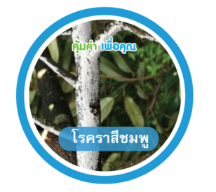 โรคราสีชมพู