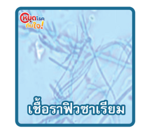 เชื้อราฟิวซาเรียม