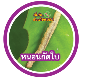 หนอนกัดใบ