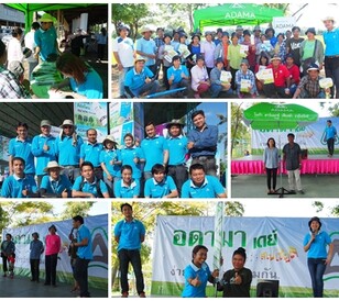 activity