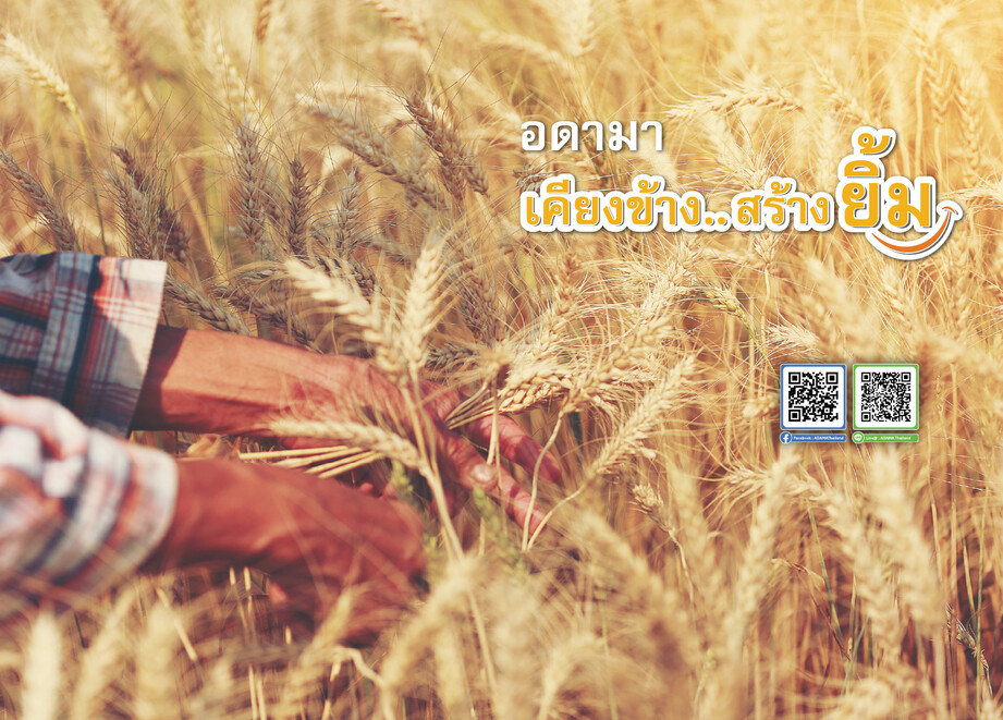 ADAMA RICE 