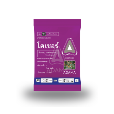 โคเชอร์-Bag