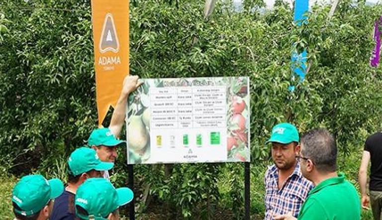 Apple Garden Day