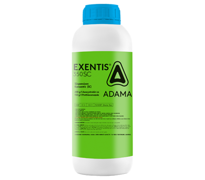 Exentis - Fungusit