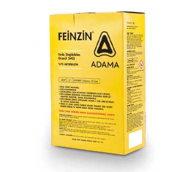 FEİNZİN 