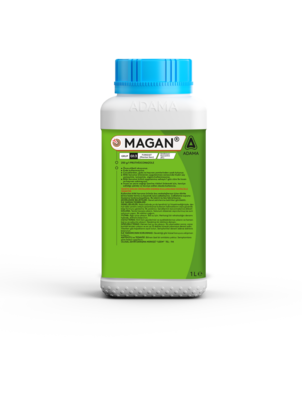 MAGAN