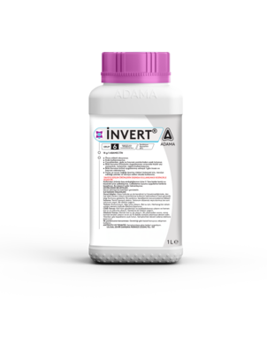 İNVERT