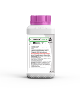 LAMDEX