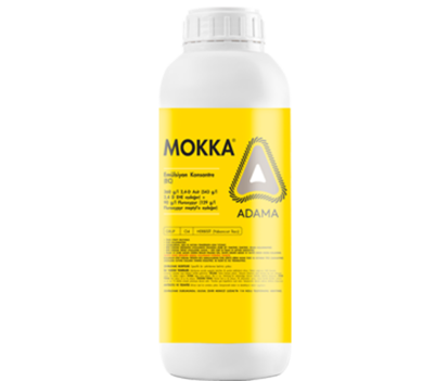 560X492_mokka sise.png