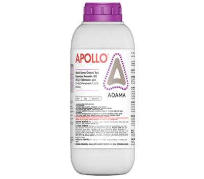 Apollo_tcm158-80862.png