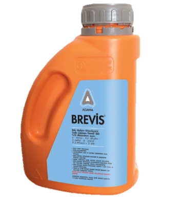 brevis