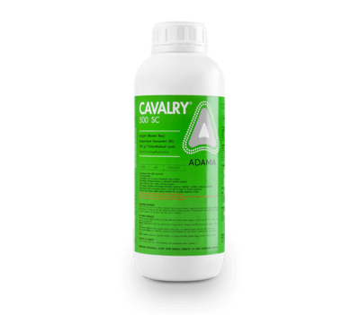 Cavalry_tcm158-80839.png