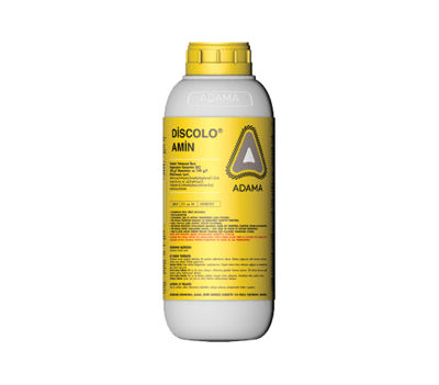 Discolo Amin_tcm158-81444.png