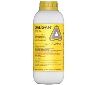 Galigan_tcm158-80864.png