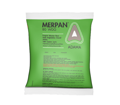 Merpan_tcm158-81435.png