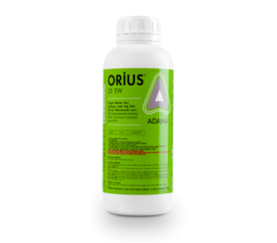 Orius_tcm158-80854.png