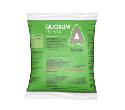Quorum_tcm158-81439.png