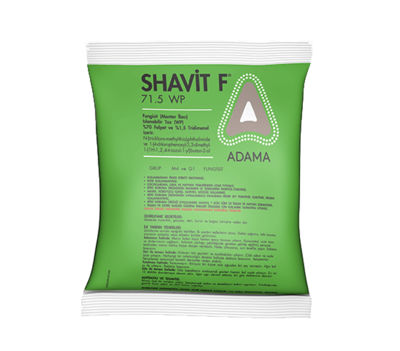 Shavit_tcm158-81440.png