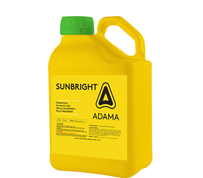 Sunbright_560x492.png