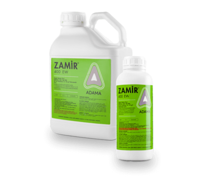 Zamir_tcm158-80860.png
