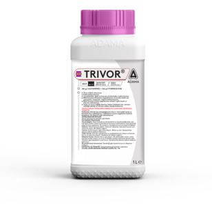 TRIVOR