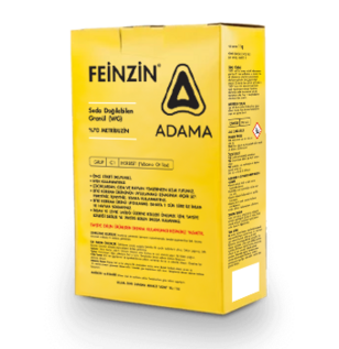 FEİNZİN 