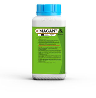 MAGAN 