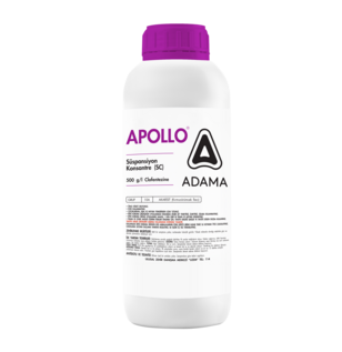 APOLLO