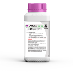 LAMDEX