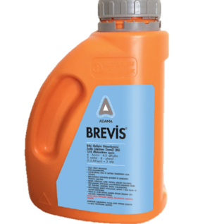 brevis