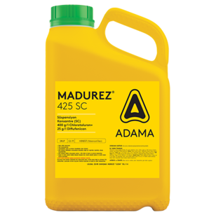 Madurez_560x492.png