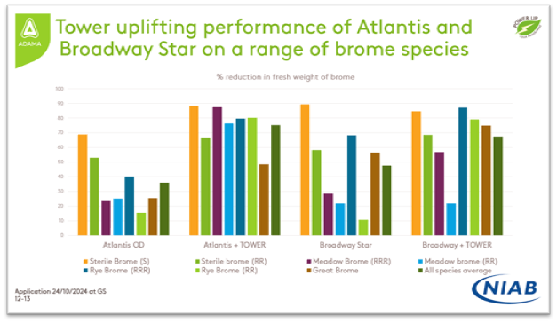 Focal Point Preview Image