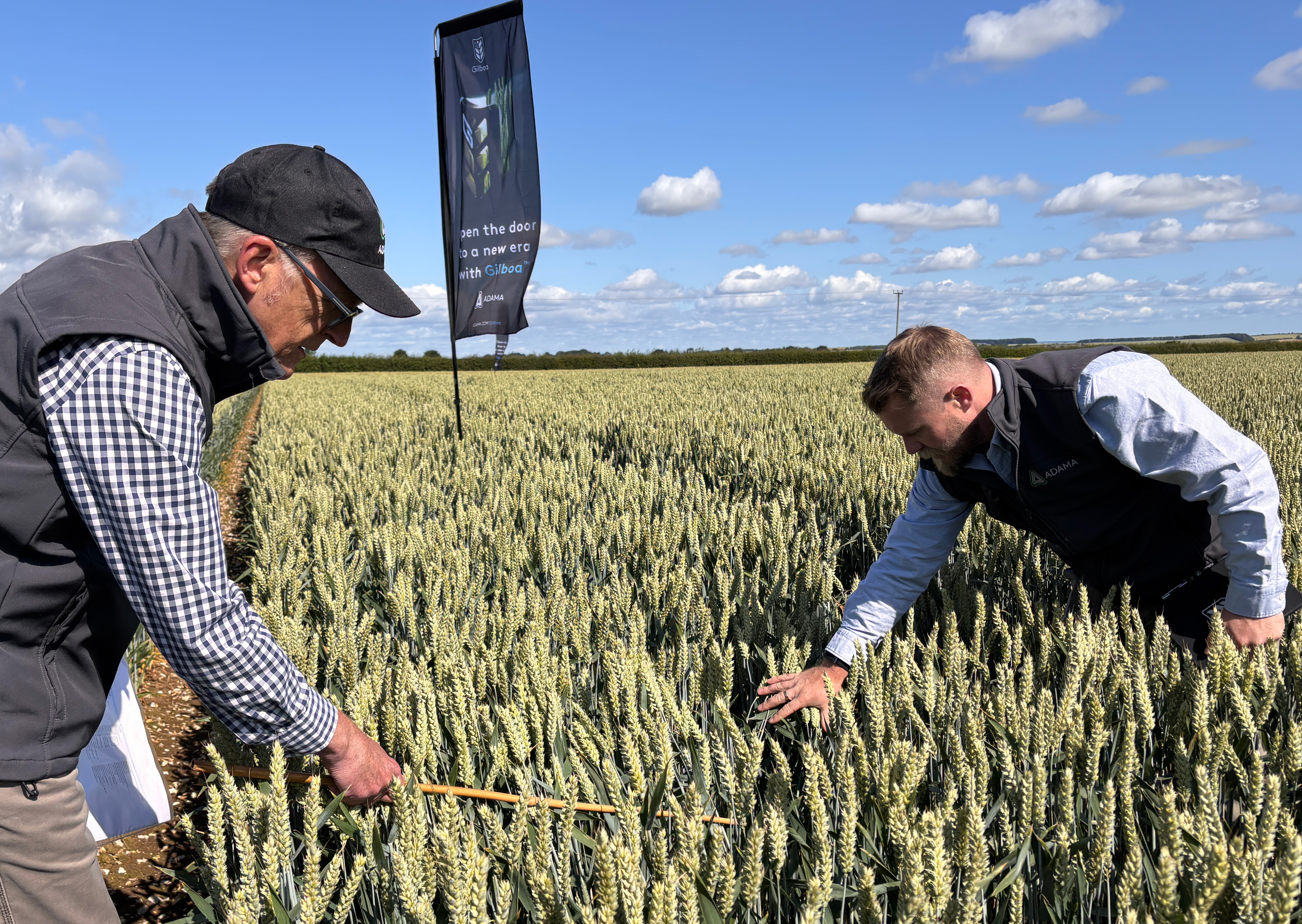 Focal Point Preview Image