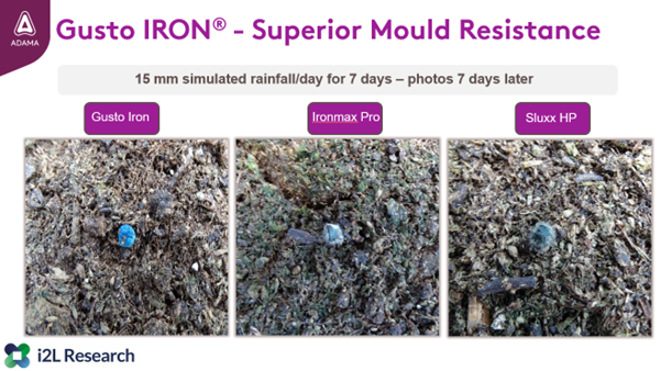 Focal Point Preview Image