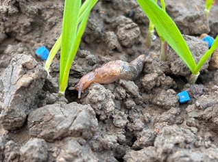 Focal Point Preview Image