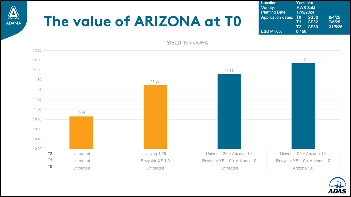 Focal Point Preview Image