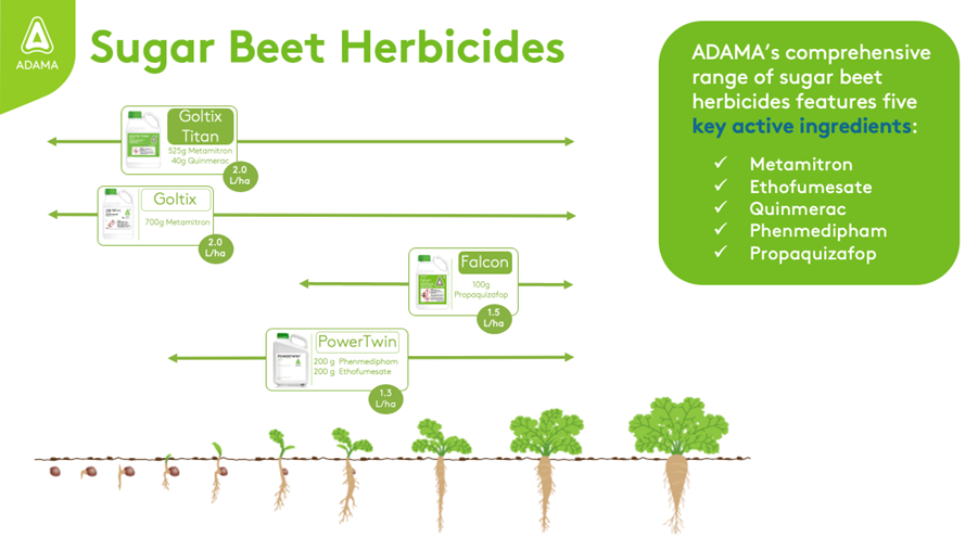 Focal Point Preview Image