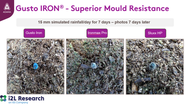 Focal Point Preview Image