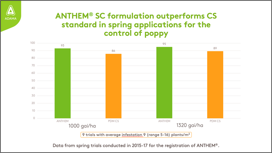 Focal Point Preview Image