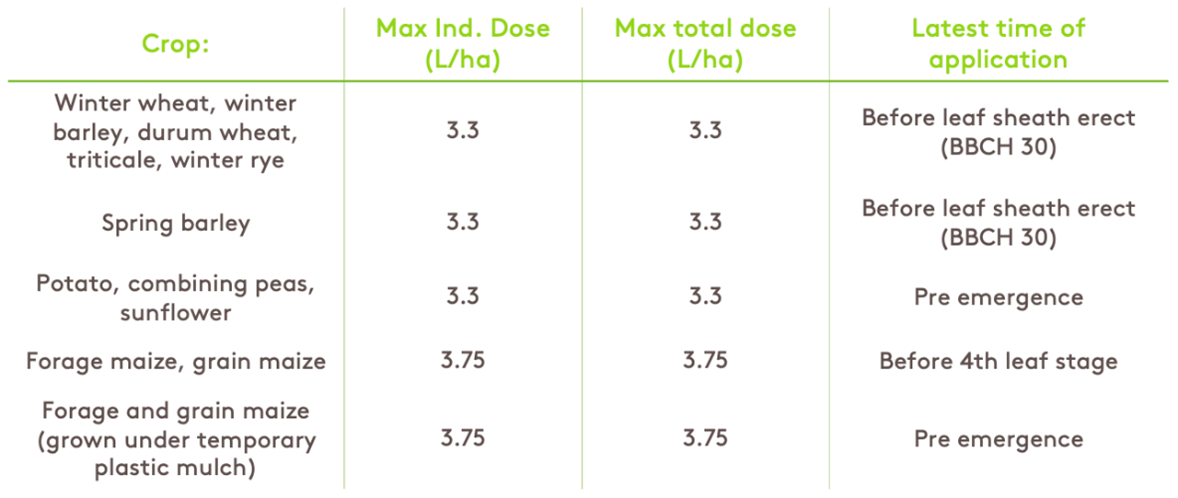 Focal Point Preview Image