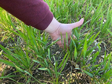 Focal Point Preview Image